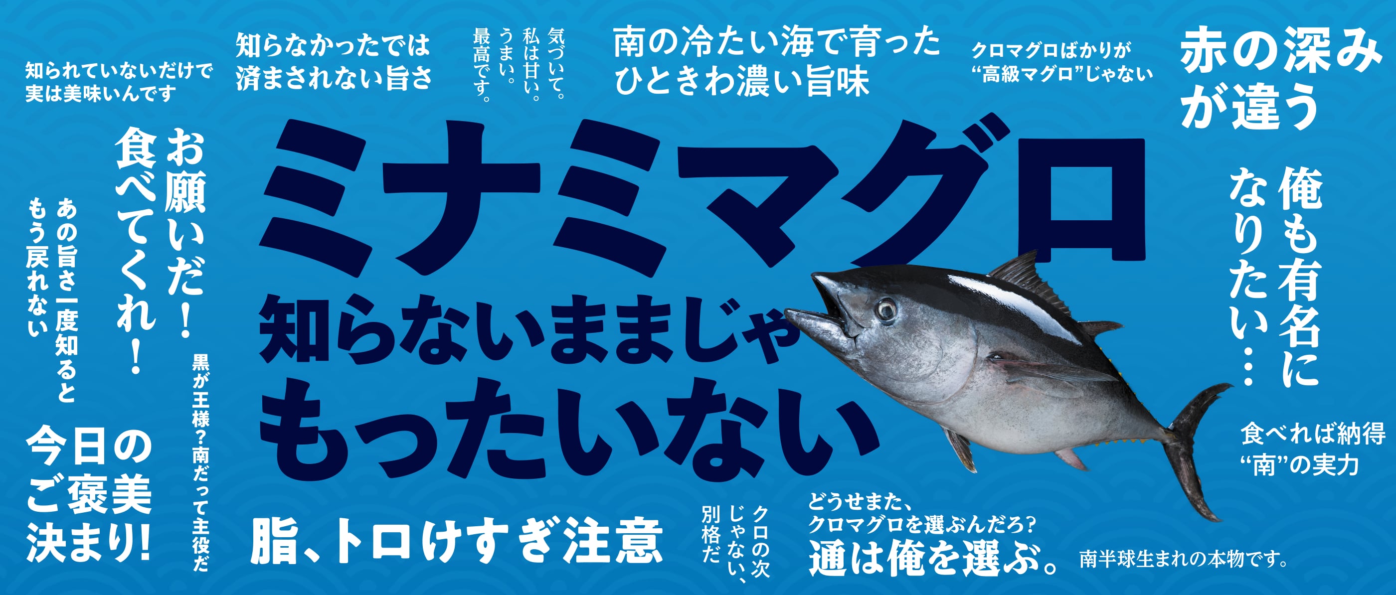 ミナミマグロ 知らないままじゃ もったいない